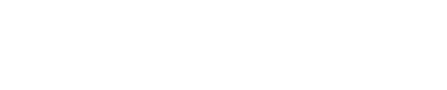 Sailpoint white